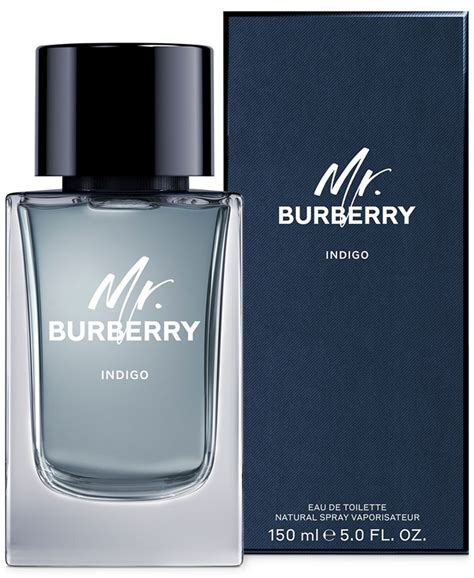 men's mr burberry indigo eau de toilette spray 5-oz